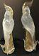 2 Vtg Murano Glass Parrots Cockatoo Birds 12 Archemide Seguso Gold Flake Italy