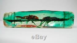 CENEDESE Vintage MURANO Glass Block AQUARIUM Fish Sculpture BIG 10 1/4 wide