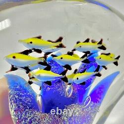 Large Vintage Murano Art Glass Tropical Fish Reef Aquarium Sculpture Multicolor