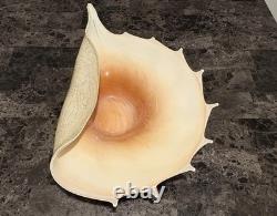 Murano Italy 1950 Hand Blown Glass Large Conch Shell Scallop Centerpiece Vintage