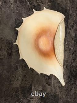 Murano Italy 1950 Hand Blown Glass Large Conch Shell Scallop Centerpiece Vintage