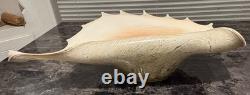 Murano Italy 1950 Hand Blown Glass Large Conch Shell Scallop Centerpiece Vintage
