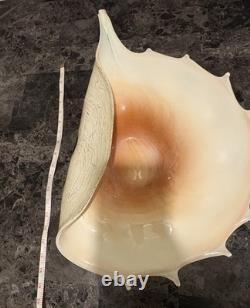 Murano Italy 1950 Hand Blown Glass Large Conch Shell Scallop Centerpiece Vintage