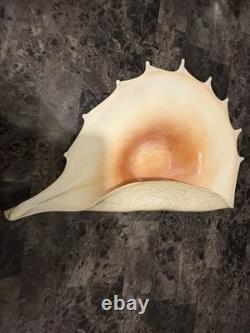 Murano Italy 1950 Hand Blown Glass Large Conch Shell Scallop Centerpiece Vintage