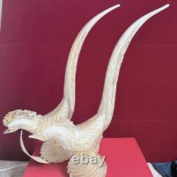 Rare Large 16 Vintage 1950's Archimede Seguso Gold Murano Glass Pheasant Birds