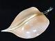 VTG Italian Seguso Murano Peach Glass Leaf Shade for Chandelier, 21 L x 12 W