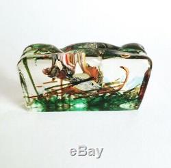 Vintage Alfredo Barbini Cenedese Murano Glass Aquarium Fish Sculpture 1950 As Is