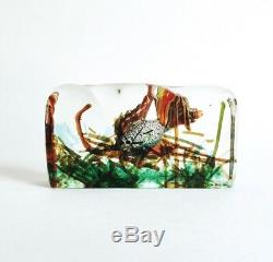 Vintage Alfredo Barbini Cenedese Murano Glass Aquarium Fish Sculpture 1950 As Is