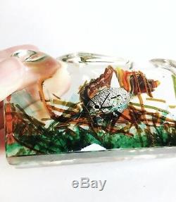 Vintage Alfredo Barbini Cenedese Murano Glass Aquarium Fish Sculpture 1950 As Is