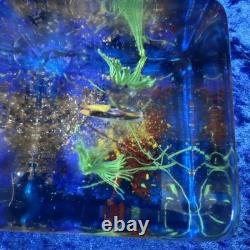 Vintage Authentic Murano Glass Fish Aquarium 3 Cube, Handcrafted Made in Italy