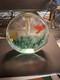 Vintage Barbini Murano Art Glass Aquarium Block