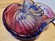 Vintage Hard To Find Alfredo Barbini Murano MCM Art Glass Seashell Bowl /ashtray