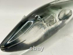 Vintage MURANO GLASS EEL Sea Life Oceans Art Glass Unique Clear Gorgeous Italy