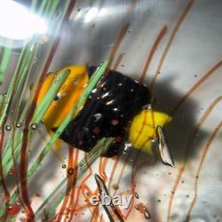 Vintage Murano Blown Glass 6 Fish Aquarium Half Moon Paperweight Art Rare READ