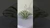 Vintage Murano Glass Basket