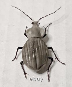 Vintage Murano Glass Beetle Scaphinotus Lampwork Italian Art Glass Insect Figure