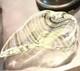 Vintage Murano Glass Bowl Shell Shape Venitian Green