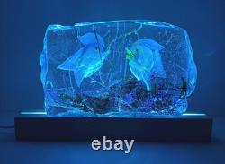 Vintage Murano Glass Cenedese 7.3 Aquarium withLight Beautiful