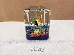 Vintage Murano Glass Fish Aquarium Rectangle Block Sculpture Nice