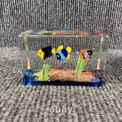 Vintage Murano Glass Fish Tank Aquarium Paperweight 5.5 X 3.75 #1