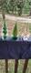 Vintage Murano Glass Trees. Lot of 3. Beautiful Colors. Excellent Condition