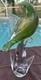 Vintage Venetian Green Gold Fleck Murano Art Glass Parakeet/ Cockatiel Bird
