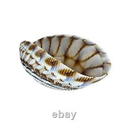 Vintage Yalos Murano Seashell Glass Bowl